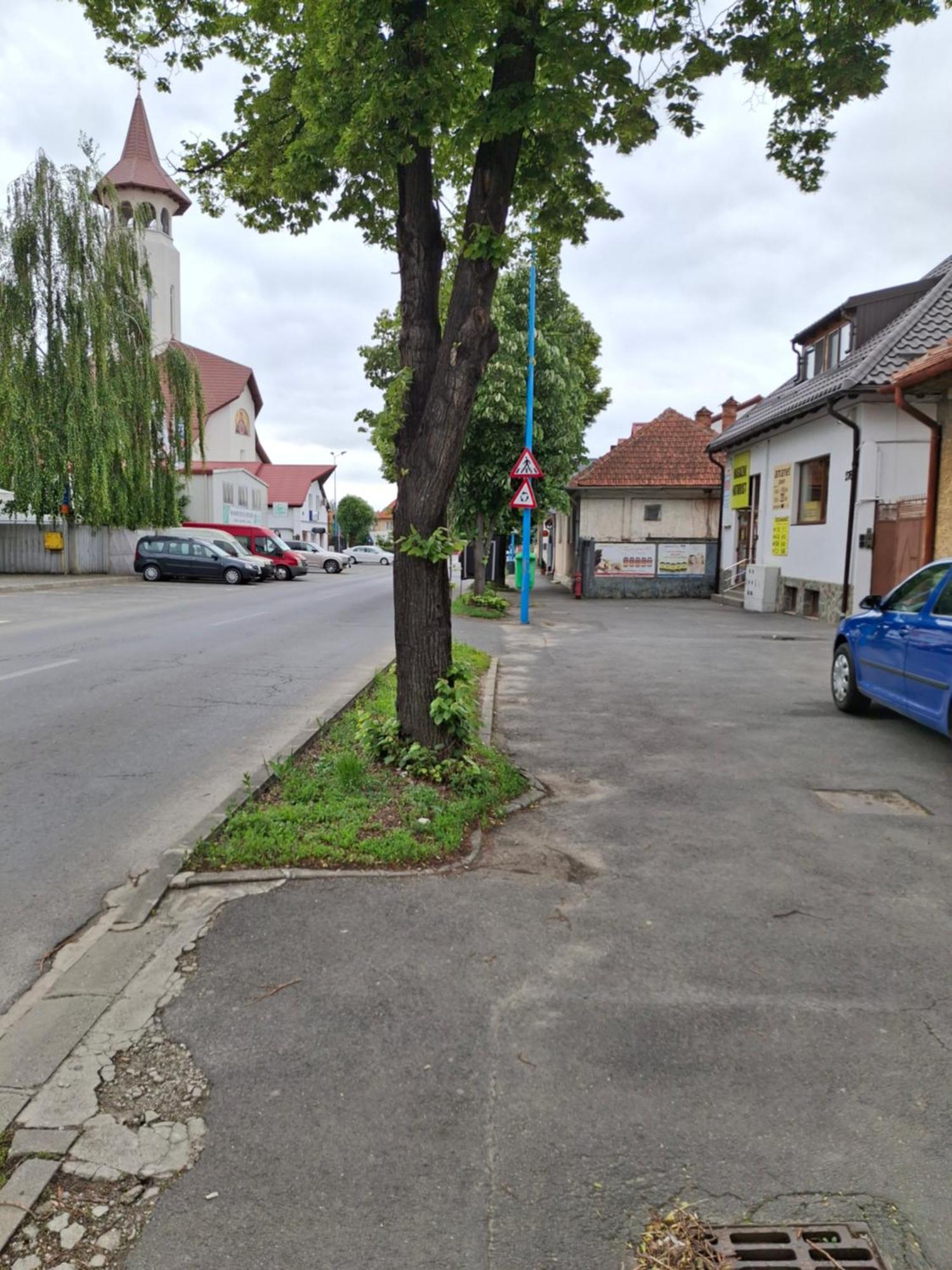 Clar Studio 1 Брашов Экстерьер фото